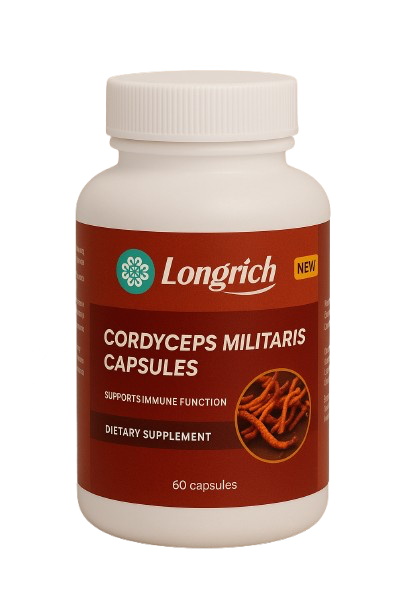 cordyceps militaris cordyceps militaris